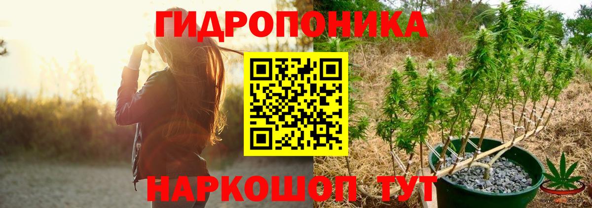 МАРИХУАНА план  Вход с VPN  Бошки Шишки ГИДРОПОН  Нефтеюганск  Канабис тримм 